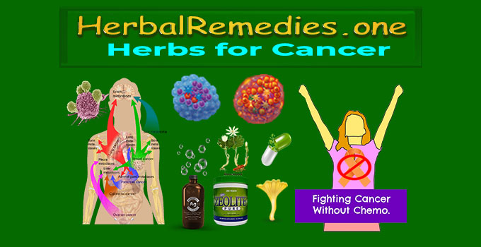 Best Herbs for Cancer - #1 Holistic Natural Cancer Remedies