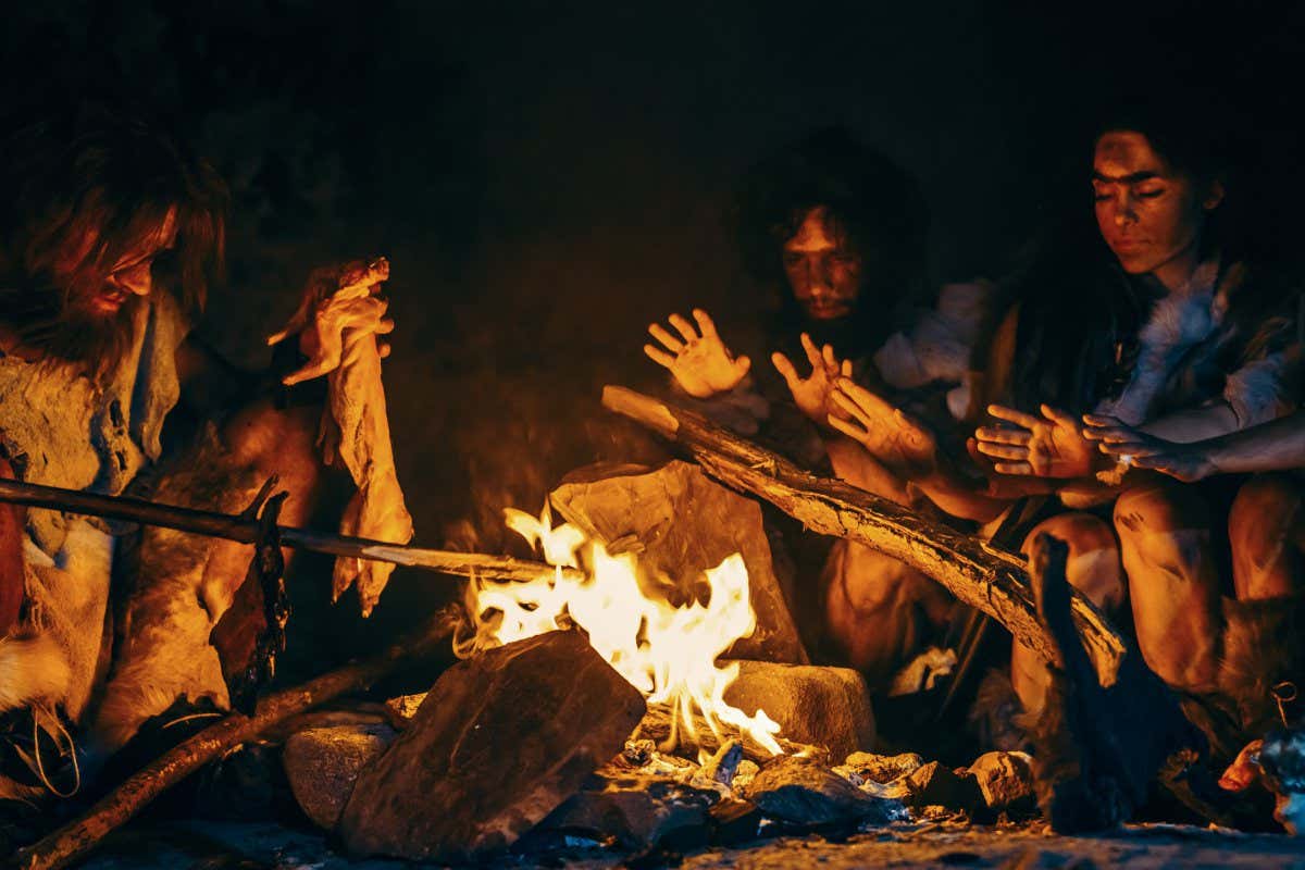 When did hominins start cooking? It might be earlier than we thought | New Scientist