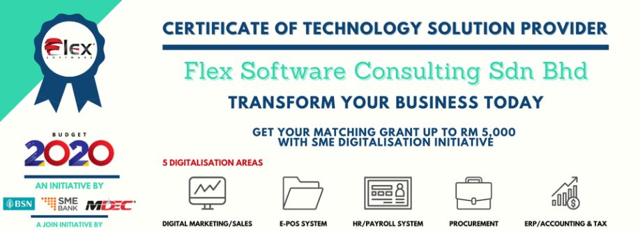 Flex Software Consulting