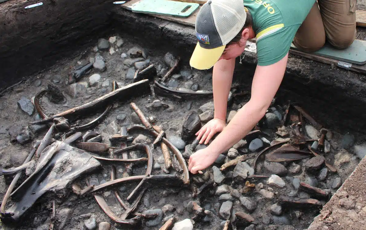 Preserved 10,500-year-old Stone Age hunter-gatherer settlement discovered