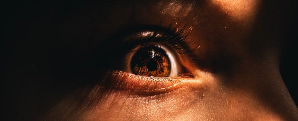 Distant Memories of Fear Lurk in Your Brain, And We May Have Found Their Hiding Place : ScienceAlert