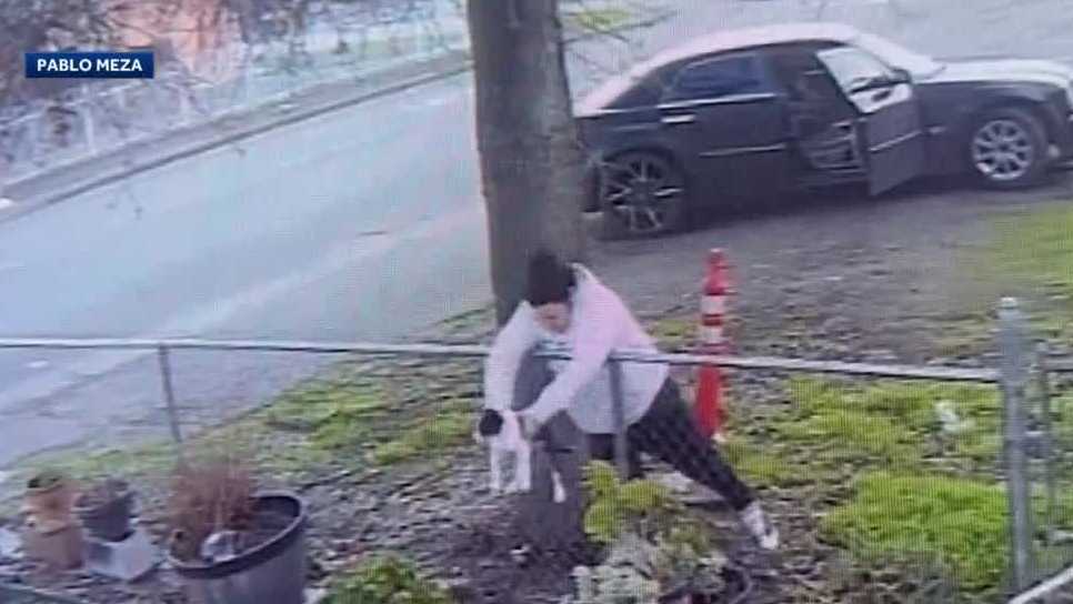 VIDEO: Person seen in security camera footage abandoning 8-week-old puppy in yard