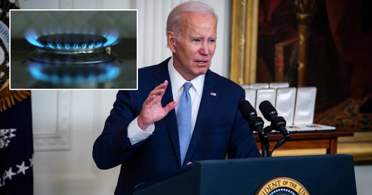 White House: Wave Of âDied Suddenlyâ Incidences Likely Due To Gas Stoves