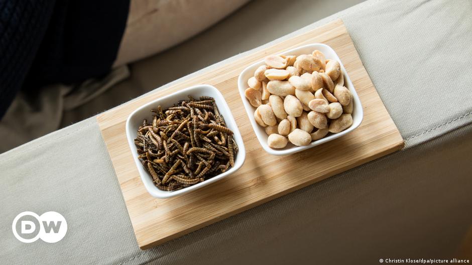 EU food agency approves mealworms as human food  – DW – 01/13/2021