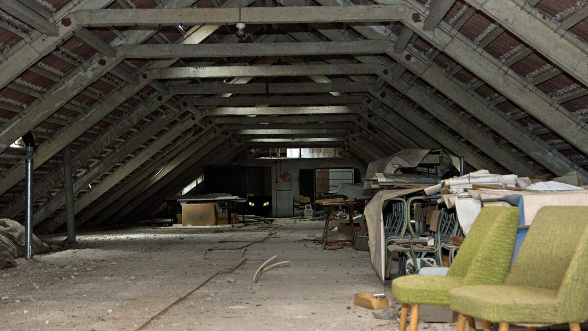 Family Pet Lost For 30 Years Found Alive In Attic | The Bobby Bones Show