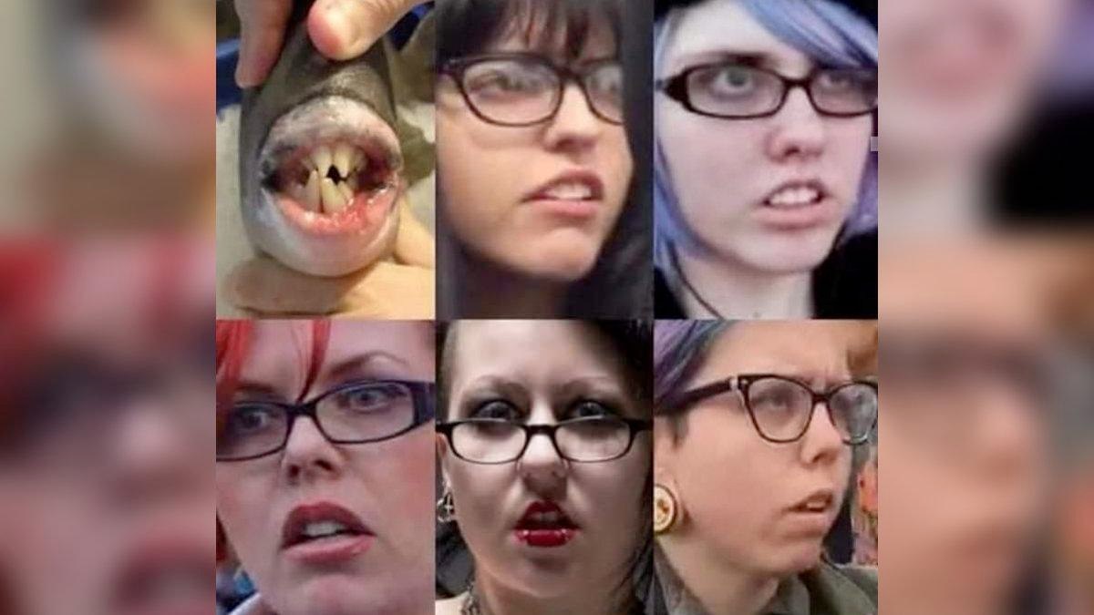 Donate today to help us fight Fish Mouth Syndrome! • Genesius Times