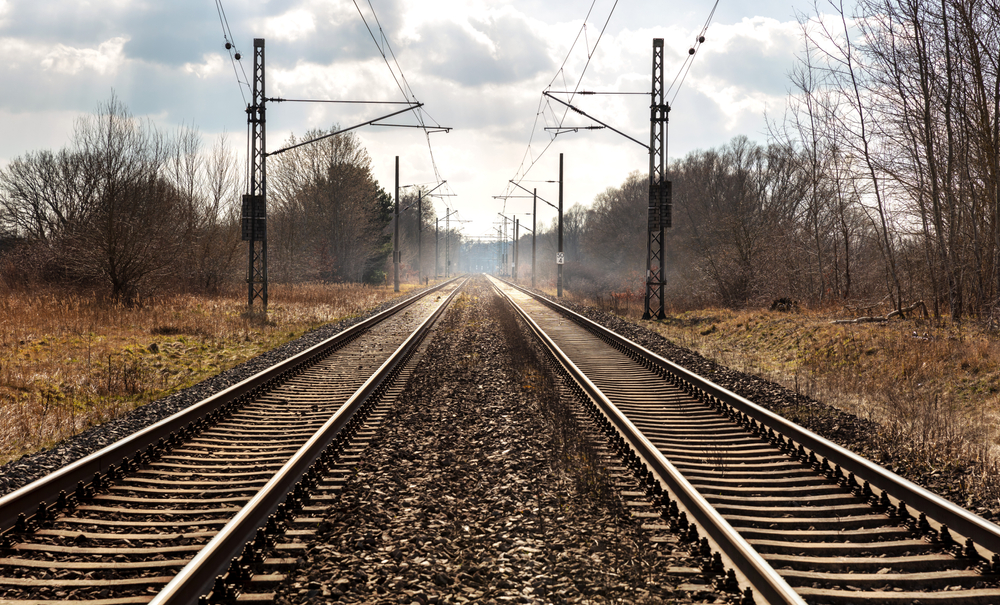 Syrian national arrested for throwing school girl onto train tracks in Germany