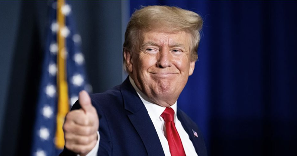 PollKing