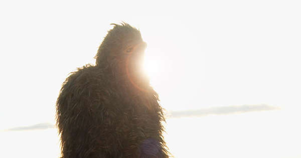 Alleged Bigfoot Video Recorded in Ohio, Salt Fork State Park