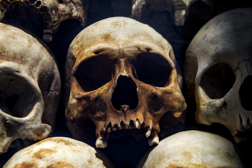 US Suffered 300K EXCESS Non-COVID Deaths Since 2020 » Sons of Liberty Media