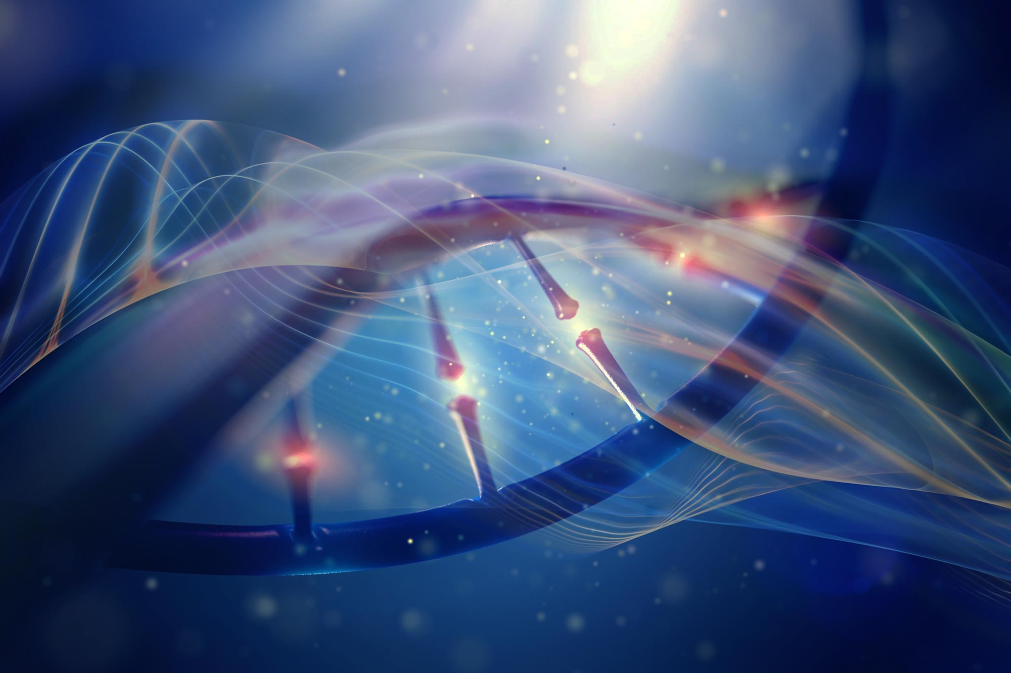 Researchers Discover That Our Ancient Ancestors Were More Complex Than Previously Thought