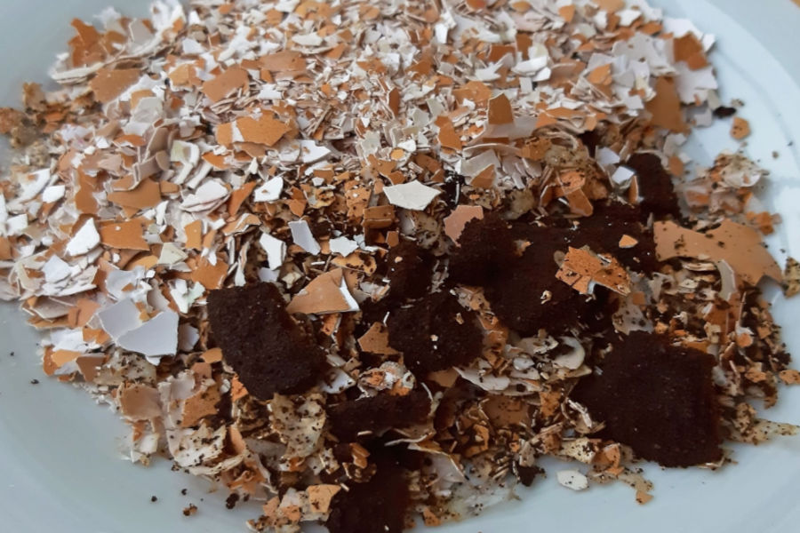 How To Save Coffee Grounds & Egg Shells - And Store Them Too!