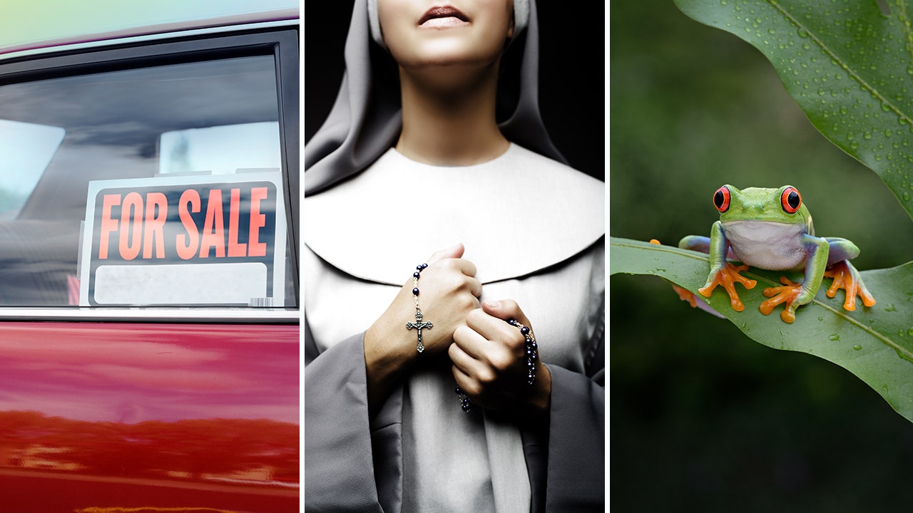 America's oddest laws include rules against dressing as nuns, eating frogs and more | Fox News