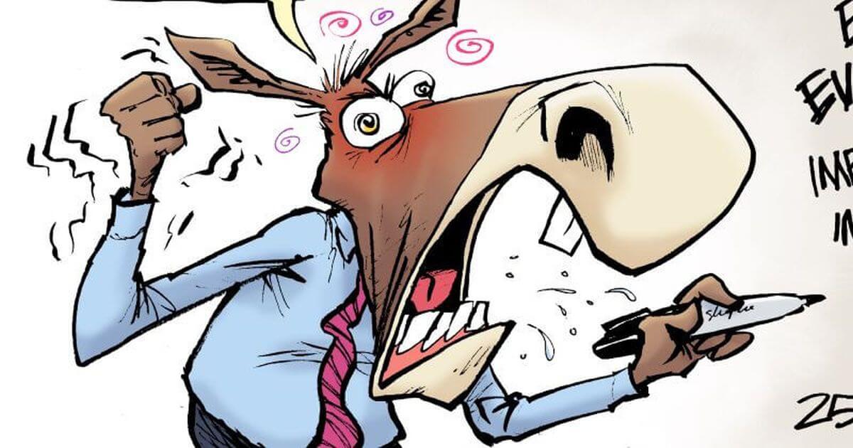 As I See It: The Democrat Party Leadership and Many of Their Voters Have Gone Insane
