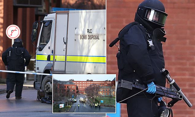 Student nurse 'plotting terror attack on RAF base found outside maternity ward with home-made bomb'  | Daily Mail Online