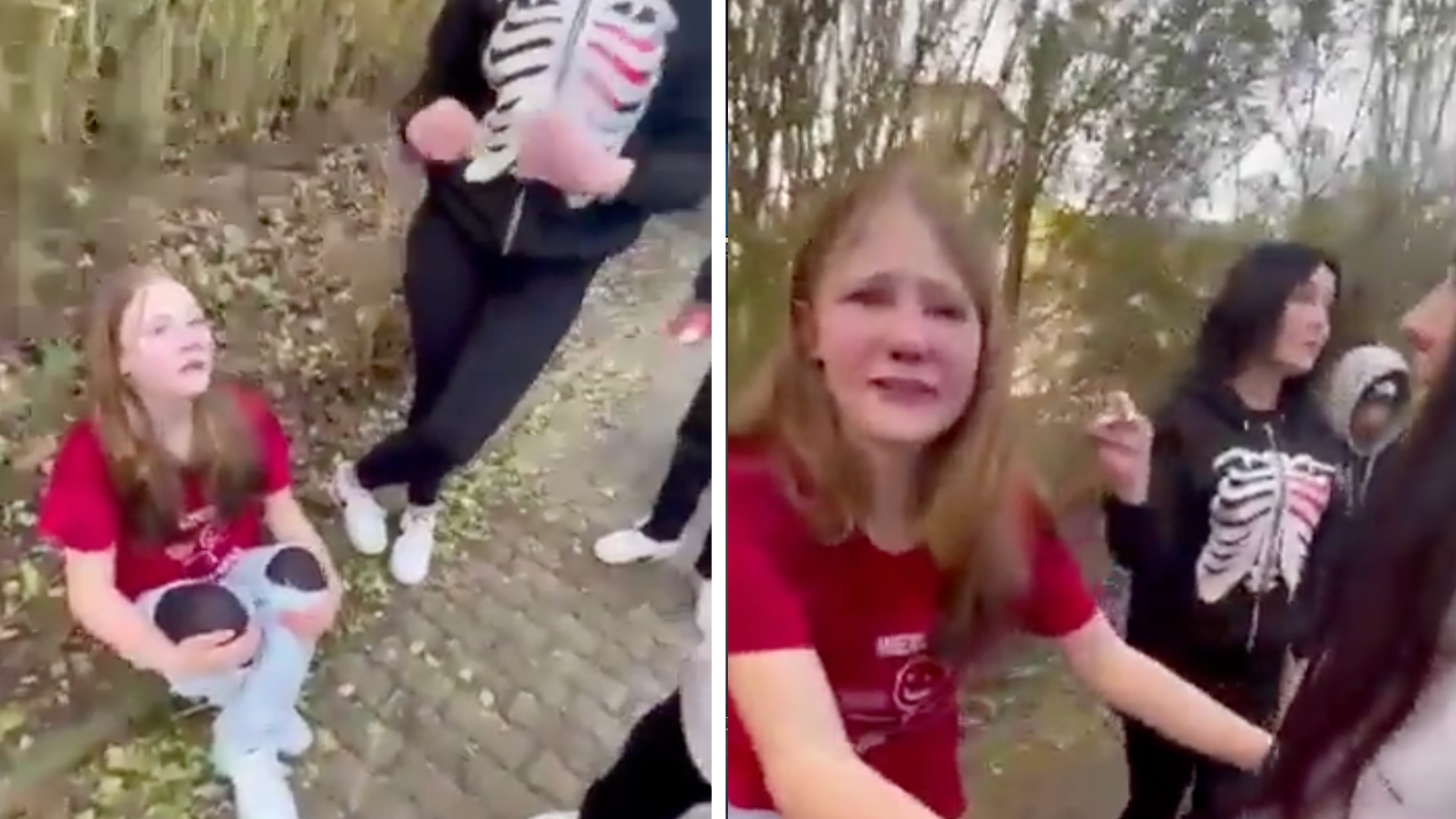Viral video shocks Germany: Gang of girls tortures 12-year-old girl for hours, mother 'collapsed' when she saw the video