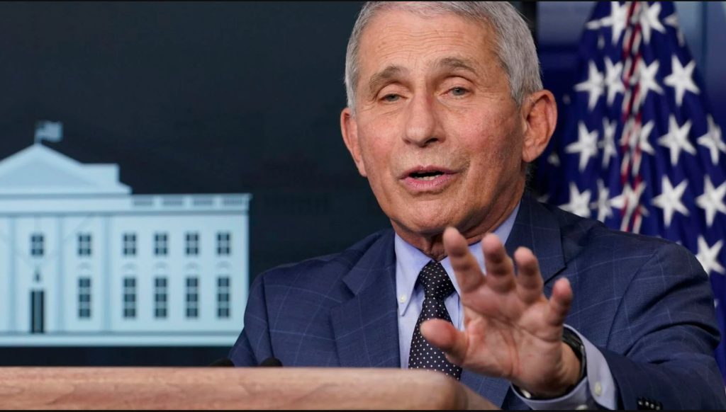 BREAKING: Fauci Testimony Found To Be "Not Credible" Due To Contradicting Evidence