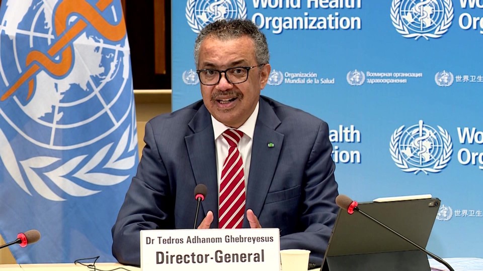 WHO Pushes For One World Government By Issuing Guidance to National Parliamentarians (Video) » Sons of Liberty Media
