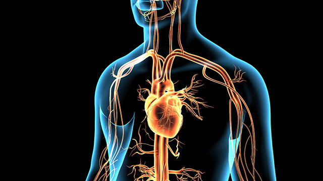 Cardiac testing at public event in Washington shows 53% myocarditis rate in covid “vaccine” victims – NaturalNews.com