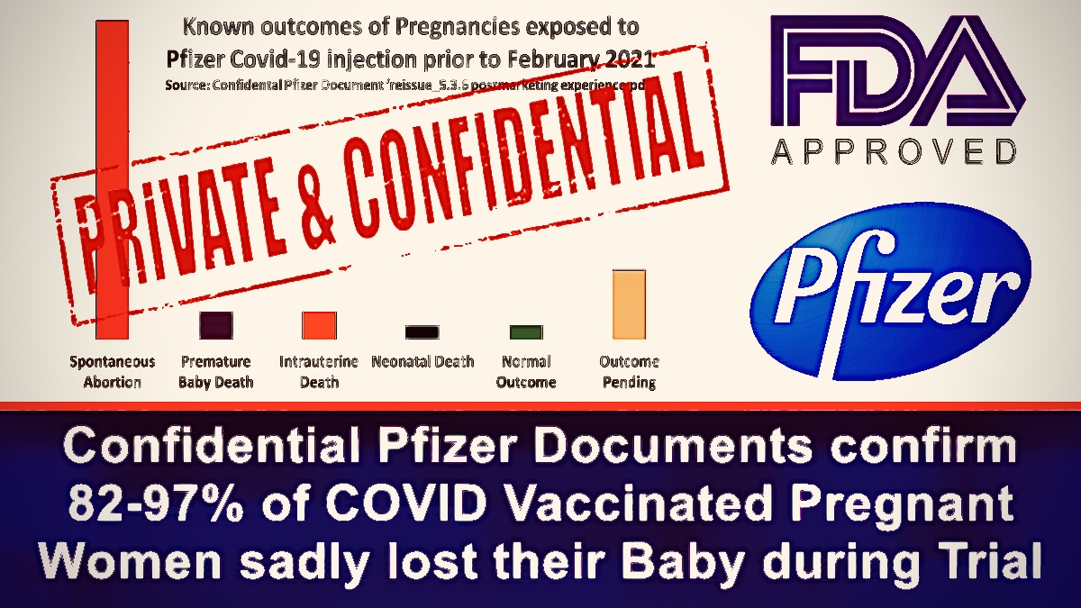 Quietly Published Pfizer Documents confirm between 82% & 97% of COVID Vaccinated Pregnant Women sadly lost their baby during the ongoing Clinical Trial – The Expose