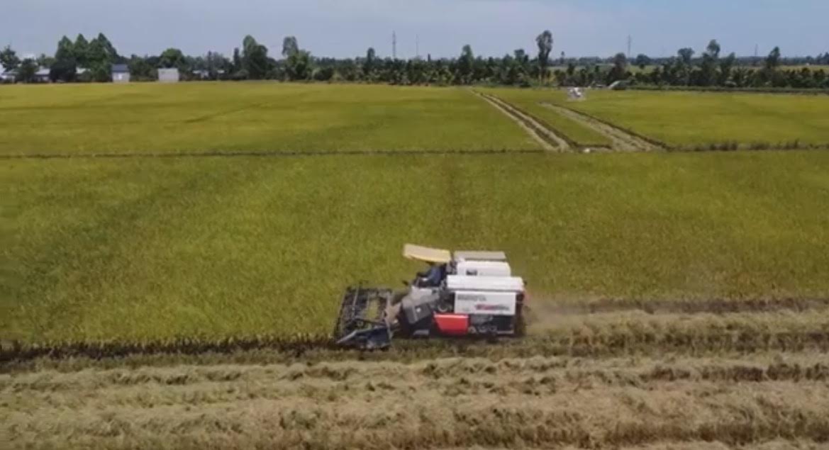 Climate Cultists Blame Global Warming on Rice | The Gateway Pundit | by Cristina Laila