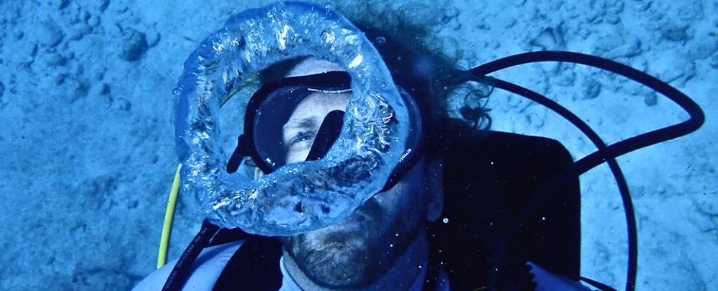 US Scientist to Live Underwater For 100 Days in Record-Breaking Experiment : ScienceAlert