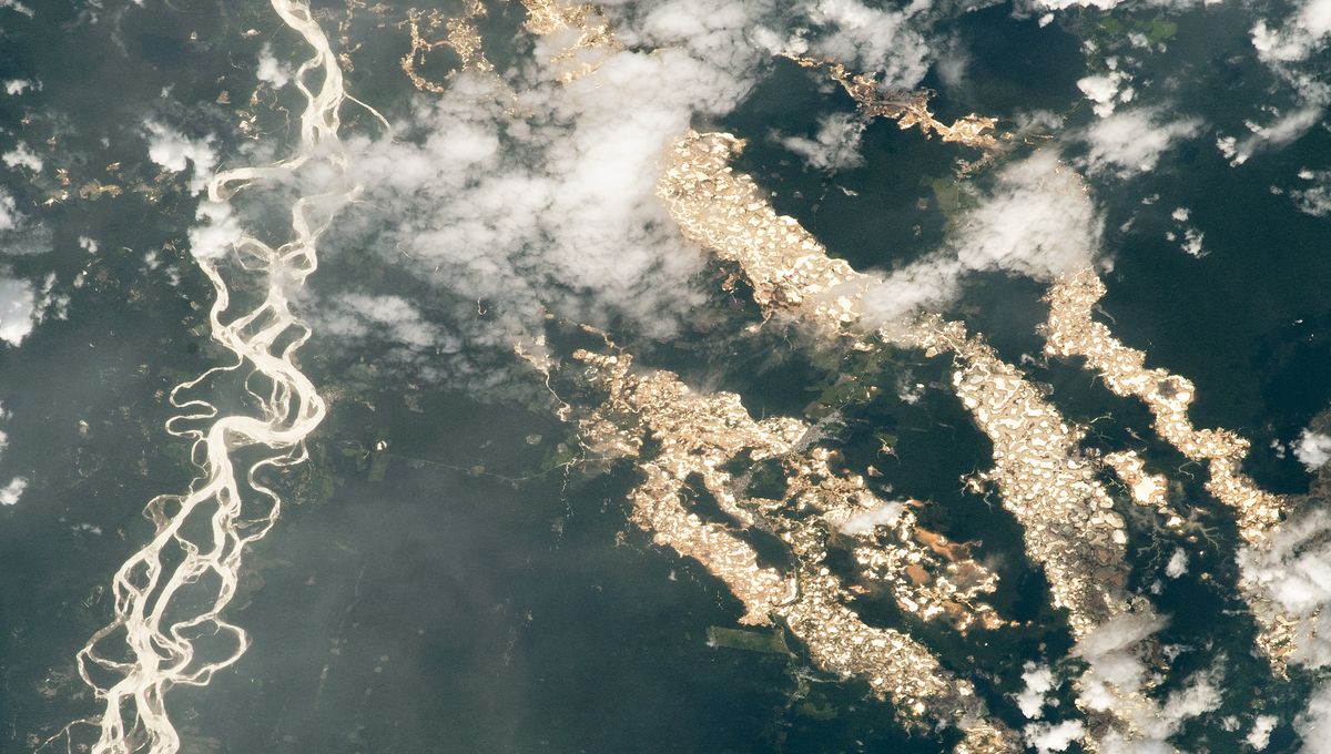 Gold Glitters In The Forest Of Peru In A Photo Taken By An Astronaut | IFLScience