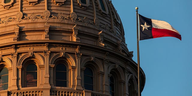 YubNub News        | Texas takes step to ban diversity offices at public universities: 'Strongest pushback on woke policies'