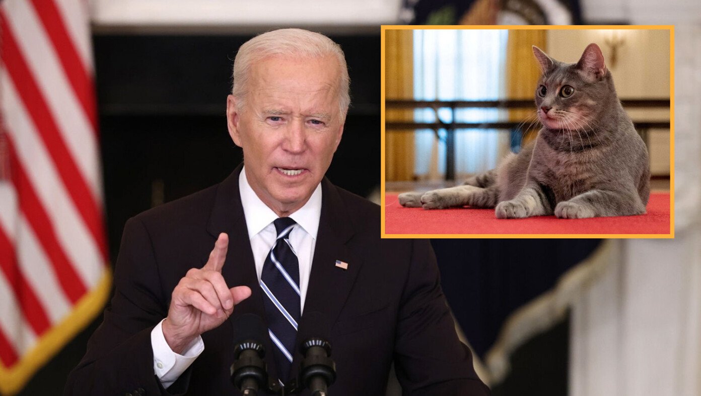 Biden Says $10 Million Payment From Romania To His Cat Is Totally Legitimate | Babylon Bee