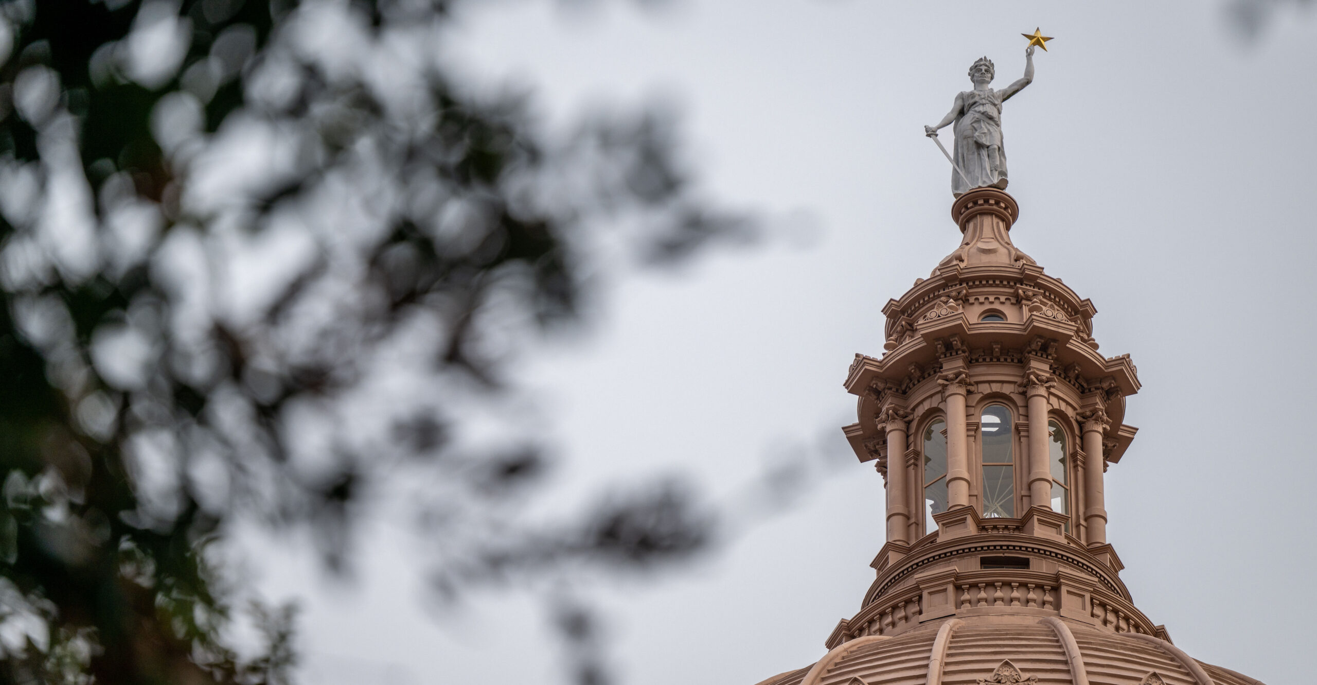YubNub News        | The Counterrevolution Continues: Texas Poised to Ban DEI Offices at Public Universities