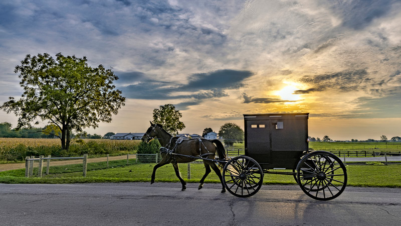 Steve Kirsch Testifies About Why Amish Communities Suffered Such Low Covid Death Rates