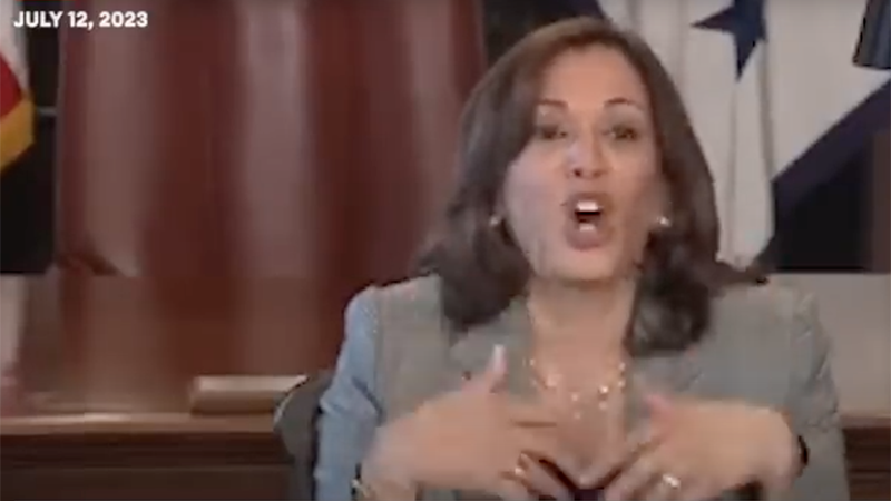 Video: Kamala Harris Sounds As Thick As A Brick When Discussing AI