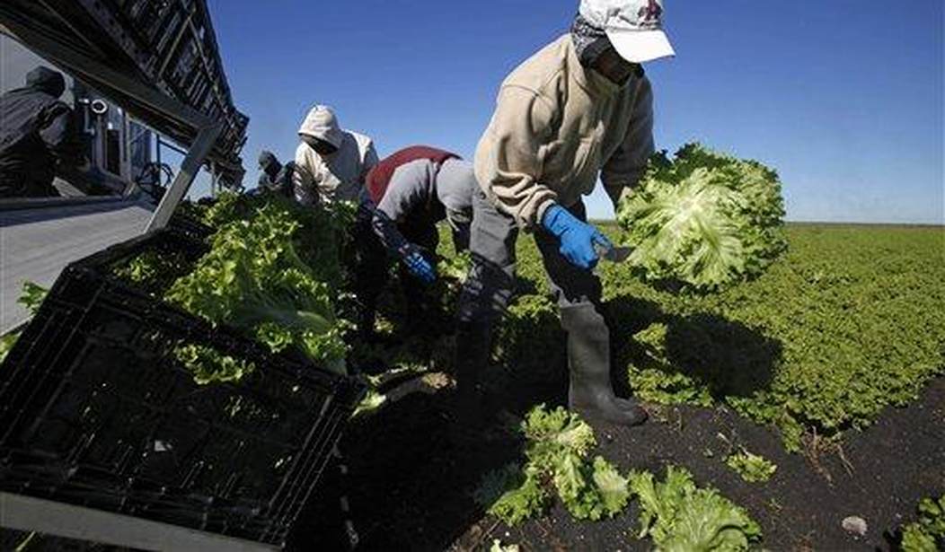 YubNub News        | Florida Becomes Hostile Territory for Those Who Profit Off Illegal Aliens