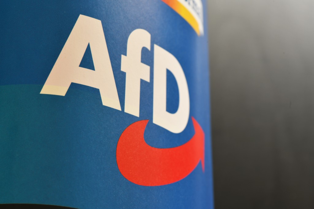 AfD wins first mayoral election in Germany, rival politicians warn of more victories ahead