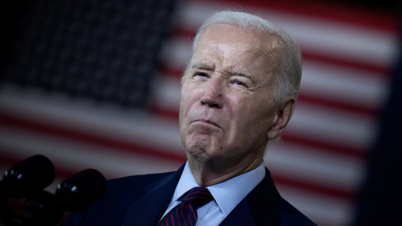 Biden in First-Ever Publicly Acknowledges 7th Grandchild From Hunter