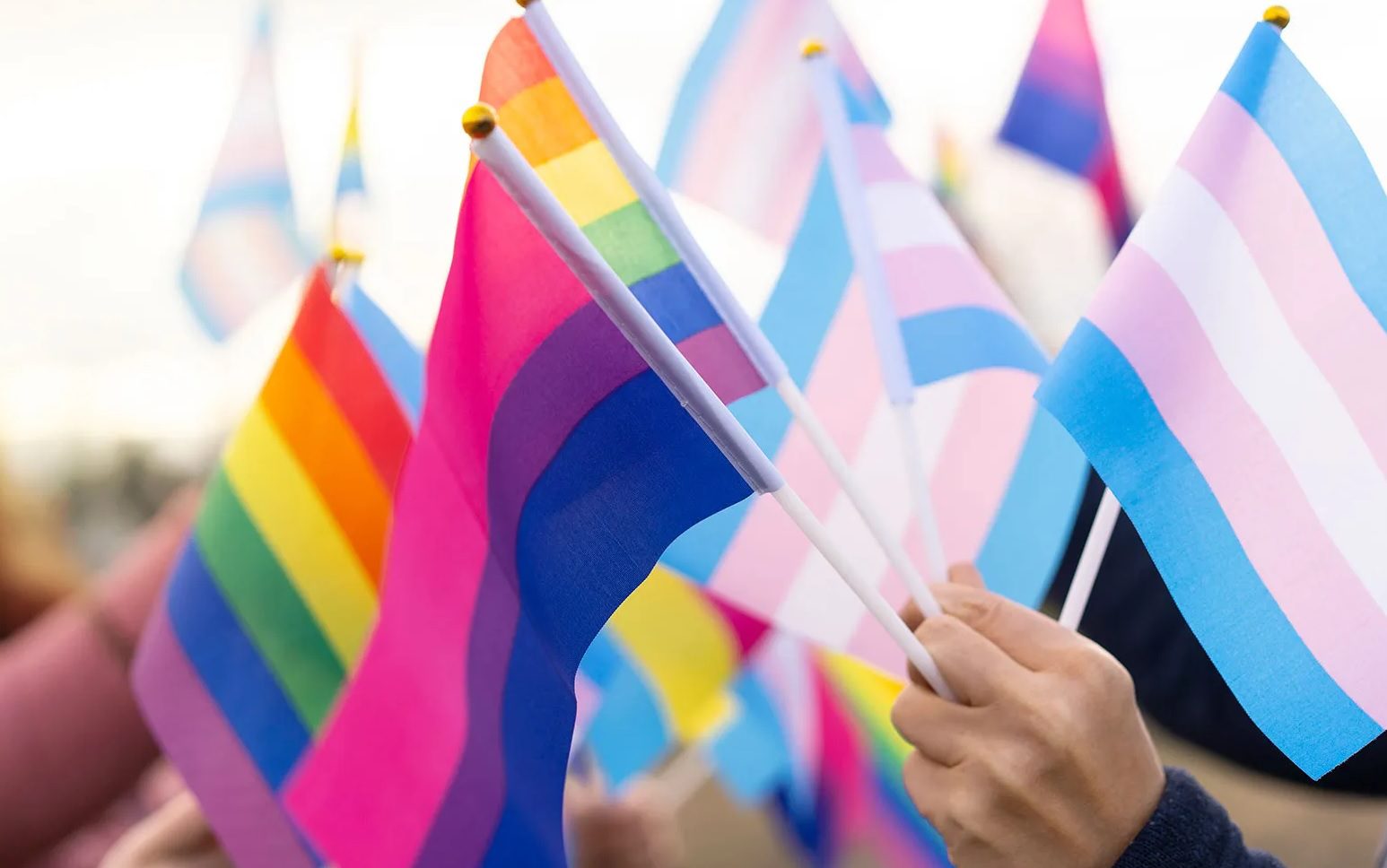 YubNub News        | Corporate America Starting to Ditch Diversity, Equity and Inclusion Officers