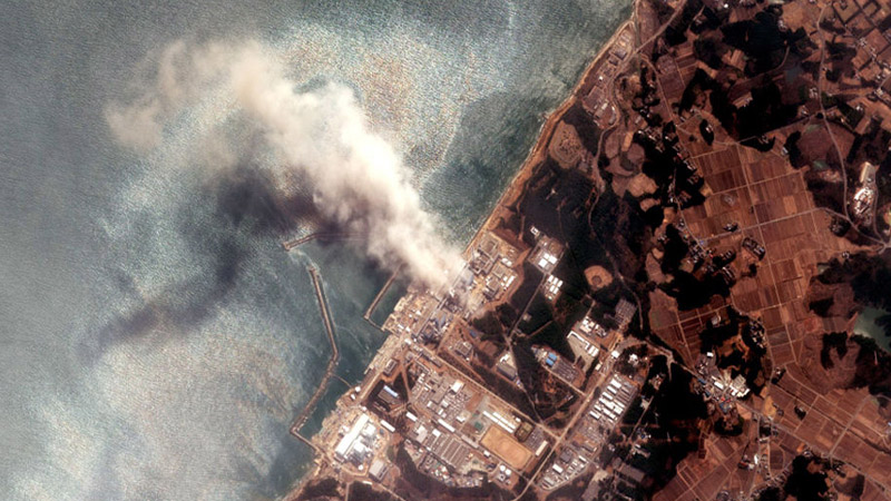 Fukushima Radioactive Wastewater Released into Ocean May Produce ‘Mutant Animals,’ Professor Warns