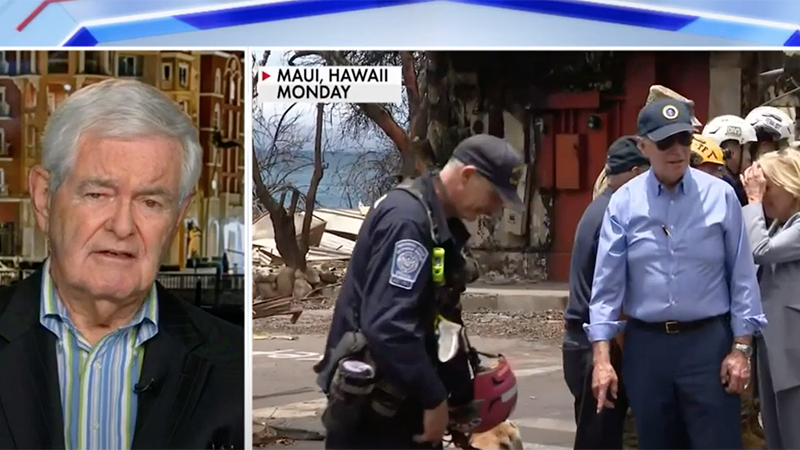 Gingrich: Biden’s Behaviour In Maui Was “Just Plain Frightening”