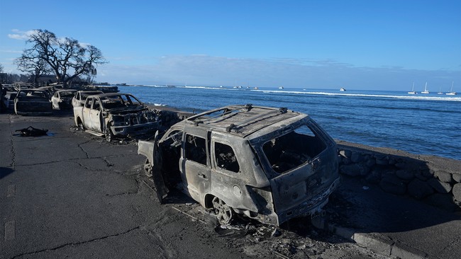 YubNub News        | Here's the Official Who Was More Concerned About Water Equity While Maui Residents Burned Alive