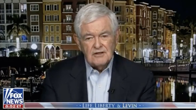 Watch: Gingrich Says Obama Running Biden Regime, Sleepy Joe ‘Not Cognitively Capable’