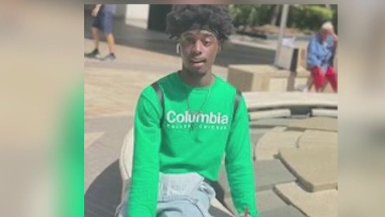 Former Columbia College student missing after taking friend's dog for walk on Chicago's Lower West Side