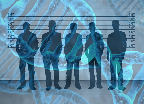 YubNub News        | We’re All Suspects in a DNA Lineup, Waiting to be Matched with a Crime