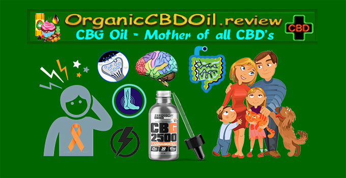 Best CBG Oil - #1 CBG for Energy, Cancer, Nerve, IBD, Immune