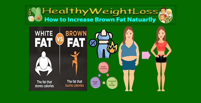 How to Increase Brown Fat Naturally - #1 Healthy Weight Loss