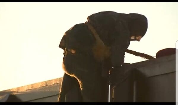 YubNub News        | Illegal Aliens Dressed in Camouflage Scale Border Wall with Ropes as Smuggler Guides Them (VIDEO)