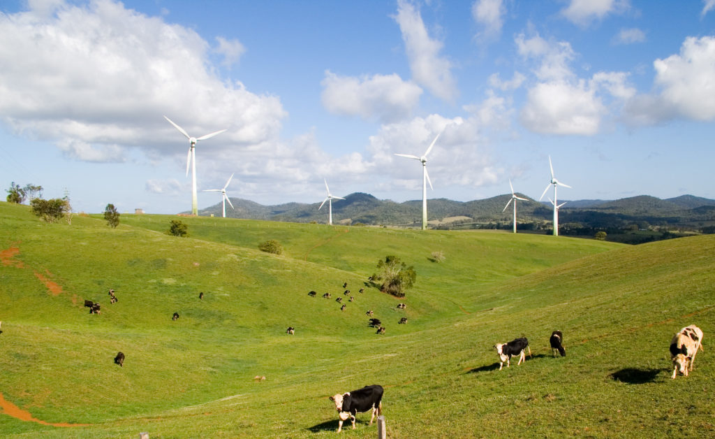 New Zealand's rural voters lean right in upcoming election due to climate change policies | Voice of Europe