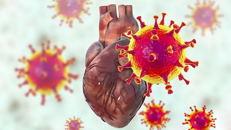 ‘It Took My Breath Away’ —Top Doctor Exposes Study Showing 50% of Young Men Who Got Myocarditis from Jab had PERMANENT Heart Damage
