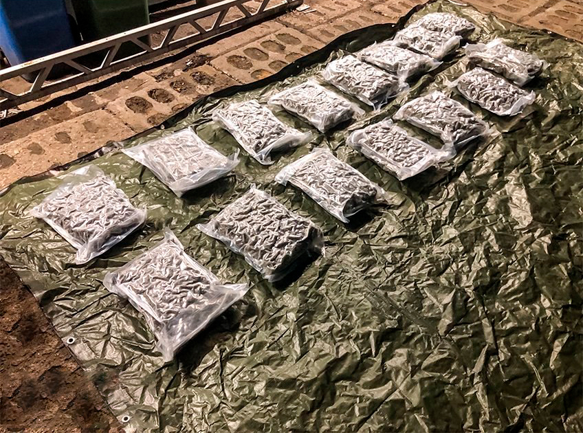 120 kg of marijuana were discovered instead of tomato concentrate in a  Polish Police operation | Voice of Europe