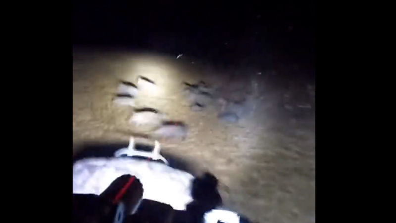Watch: Texans Obliterate Wild Hogs In Viral Video