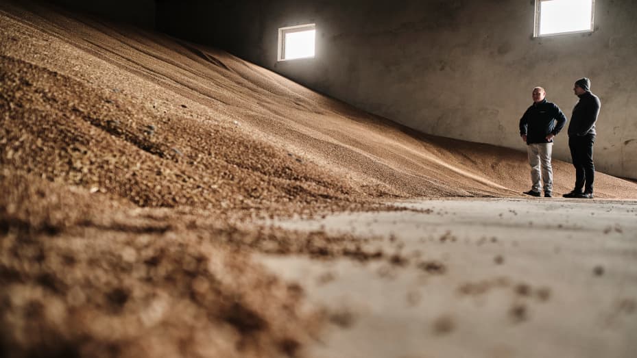 Serious issues found in Ukrainian grain entering the European market - Parlamentni Listy | Voice of Europe